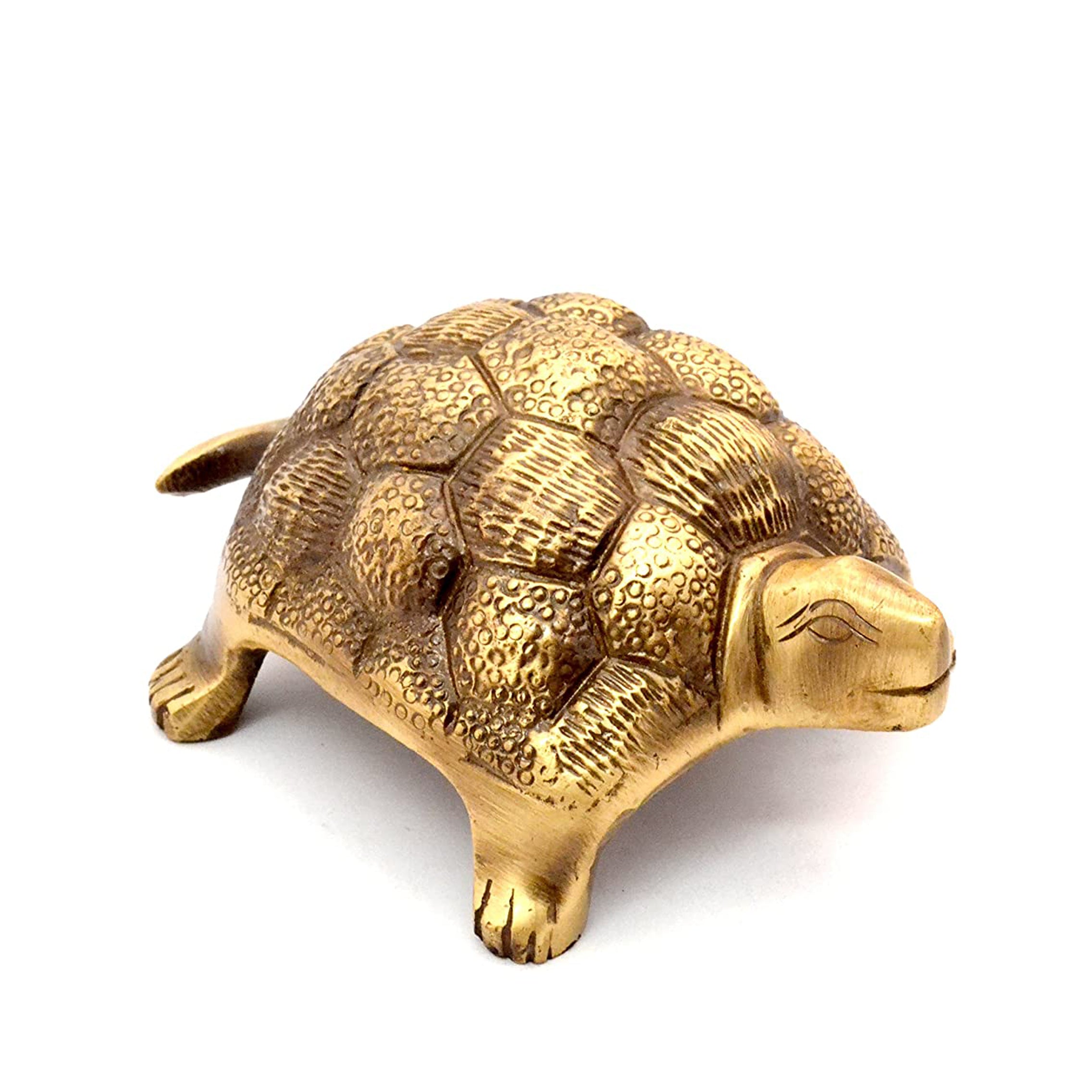 Brass Tortoise, Standard, Brown